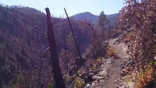 In the Kalmiopsis Wilderness, Oregon - After the Ants