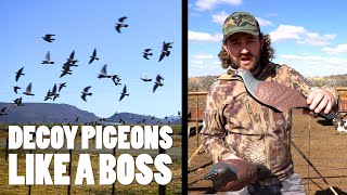 How to Decoy Pigeons (contains hunting... lots of hunting)