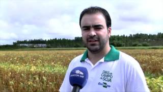 Norte Rural | Soja: combate as pragas e doenças na Região Norte