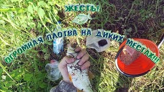 Жесть! Огромная плотва на диких местах!!! Поселок Подтесово. Река Чермянка.