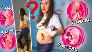 Когда у меня РОДЫ ? ?? На каком Я МЕСЯЦЕ ? - Я Беременна | Elli Di