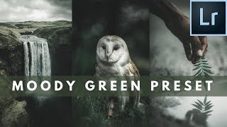 How to edit moody green images in lightroom mobile - Free Preset!