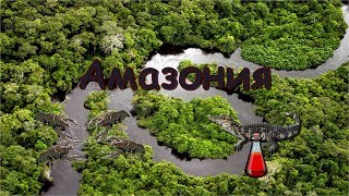 Русская Рыбалка 3.99 Амазония - стрим 2020.02.02