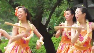 グリーンフェスタ 2016、フラダンスショー、2016/5/3