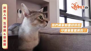 【哈寵PETube】第91集 五燈蔣&蔓蔓蔣 #封面人物