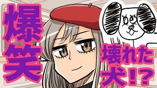 【爆笑】壊れた犬 大集合！