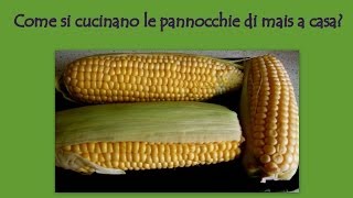 Come si cucinano le pannocchie di mais in casa?