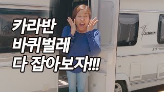 카라반, 바퀴벌레를 도망치게 하는 이것은?