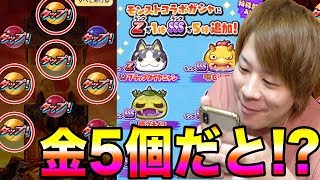 ぷにぷに100連ガシャ!!おはじき最強な妖怪がモンストコラボガシャに追加!!【妖怪ウォッチぷにぷに】モンストコラボYo-kai Watch part796とーまゲーム