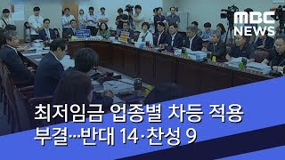 최저임금 업종별 차등 적용 부결…반대 14·찬성 9 (2018.07.10/뉴스데스크/MBC)