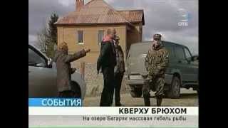 Любительское рыболовство. Массовая гибель рыбы.