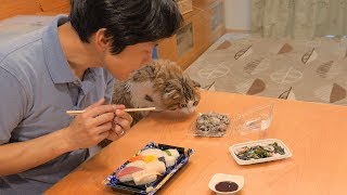 パパと子猫、初めての2人だけの甘い生活 (前編)