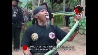 Ki Kebo Kenongo [PARANORMAL FUNDAMENTAL] Padepokan Gagak Karancang