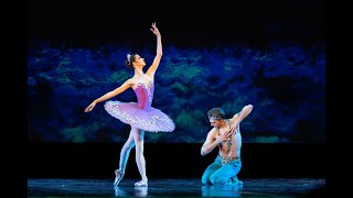 Le Corsaire. Maria Khoreva & Vladimir Shklyarov