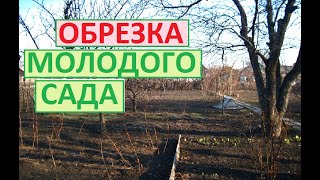 Обрезал как смог молодые деревья, ежевику и персики