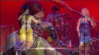 The Mummers - Tale to Tell @ FARADAY 2009