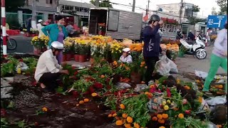 Te tua banh chành hoa Tết chiều 30 Tết Canh Tý 2020 tại Bến Tre. Hoa bỏ cũng khá nhiều!