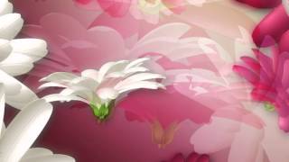 ФУТАЖ Цветы - Footage Flowers
