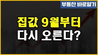 집값 9월부터 다시 오른다? (Feat. 식인곰)