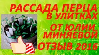 Рассада перца в улитках от Юлии Миняевой  Отзыв 15 марта  2016. Выращивание рассады перца.