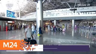 Внуково начал принимать электронные посадочные талоны - Москва 24