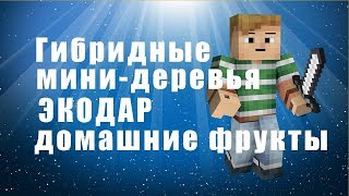 Мини Фруктовые Деревья