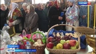 На Ставрополье отметили День святого Трифона