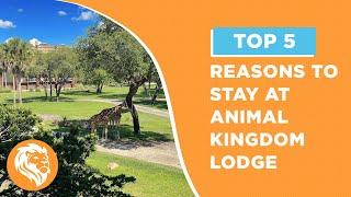 Top 5 Reasons to Stay at Disney's Animal Kingdom Lodge