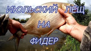 Ловля июльского леща на фидер, нижняя Москва река.