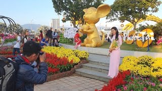 PLO - Trẩy hội trên đường hoa Tết hơn 6 tỉ đồng ở Đà Nẵng