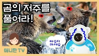 곰의 저주를 풀어라! ♥ 포비와 포비엄마의 베어트리파크 모험! 마녀의 다툼 욕심 저주! 반달곰 장난감 상황극 [애니한TV]