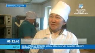 Ауылдың ажары шағын кәсіп