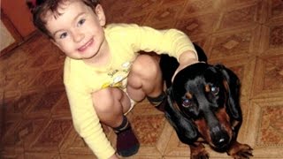 Моя такса.Собачка из резинок Rainbow Loom Bands.My dog. Подарки Поделки Игрушки Идеи рукоделия
