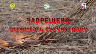 Запрещено жечь сухую траву