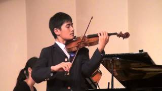 J. Haydn Violin Concerto in G major Movement 1