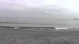 ２０１５年３月１５日の三浦海岸