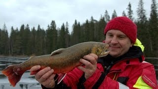 Ловля палии в Швеции
