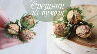 Орешник из гофрированной бумаги | Лесной орех | Орешки из бумаги