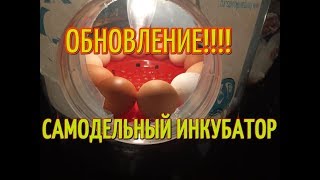 ИНКУБАТОР СВОИМИ РУКАМИ. ИНКУБАТОР ИЗ БУТЫЛКИ 19 ЛИТРОВ.. САМОДЕЛЬНЫЙ ИНКУБАТОР. ОБНОВЛЕНИЕ.