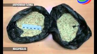 В Махачкале задержана крупная партия спайса