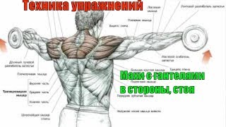 Махи в стороны с гантелями, стоя.Правильный Бодибилдинг. Техника #21