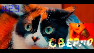 #23 СВЕРЛО ~ ЛУЧШИЕ ПРИКОЛЫ/СМЕХ/СМЕШНОЕ/ПРИКОЛЫ 2020 ~ Повозка Настроения [выпуск #23]