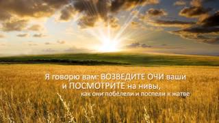 Проповедь «Жатва» - Алексей Смирнов (17.09.13)