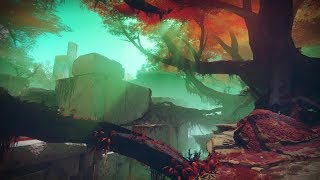 Destiny 2 - BEST PATROL FARM (TOKENS/GLIMMER/CLAN XP)