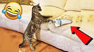 СМЕШНЫЕ ЖИВОТНЫЕ 2020 / ПРИКОЛЫ КОТЫ СОБАКИ, ЛУЧШИЕ ПРИКОЛЫ с Кошками и Собаками Funny Cats