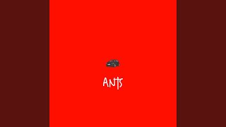 Ants