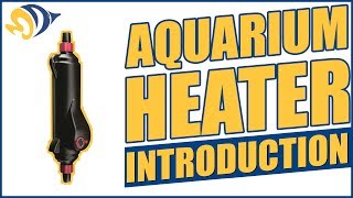 Aquarium Heater Introduction