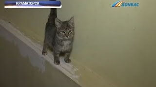 В Краматорске орудует живодер