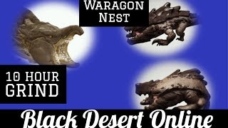 Black Desert Online [BDO] Waragon Nest Guide - Silver Breakdown (10 Hours)