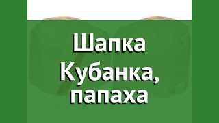 Шапка Кубанка, папаха (Наш Кедр) обзор 446 бренд Наш Кедр производитель Наш Кедр ООО (Россия)